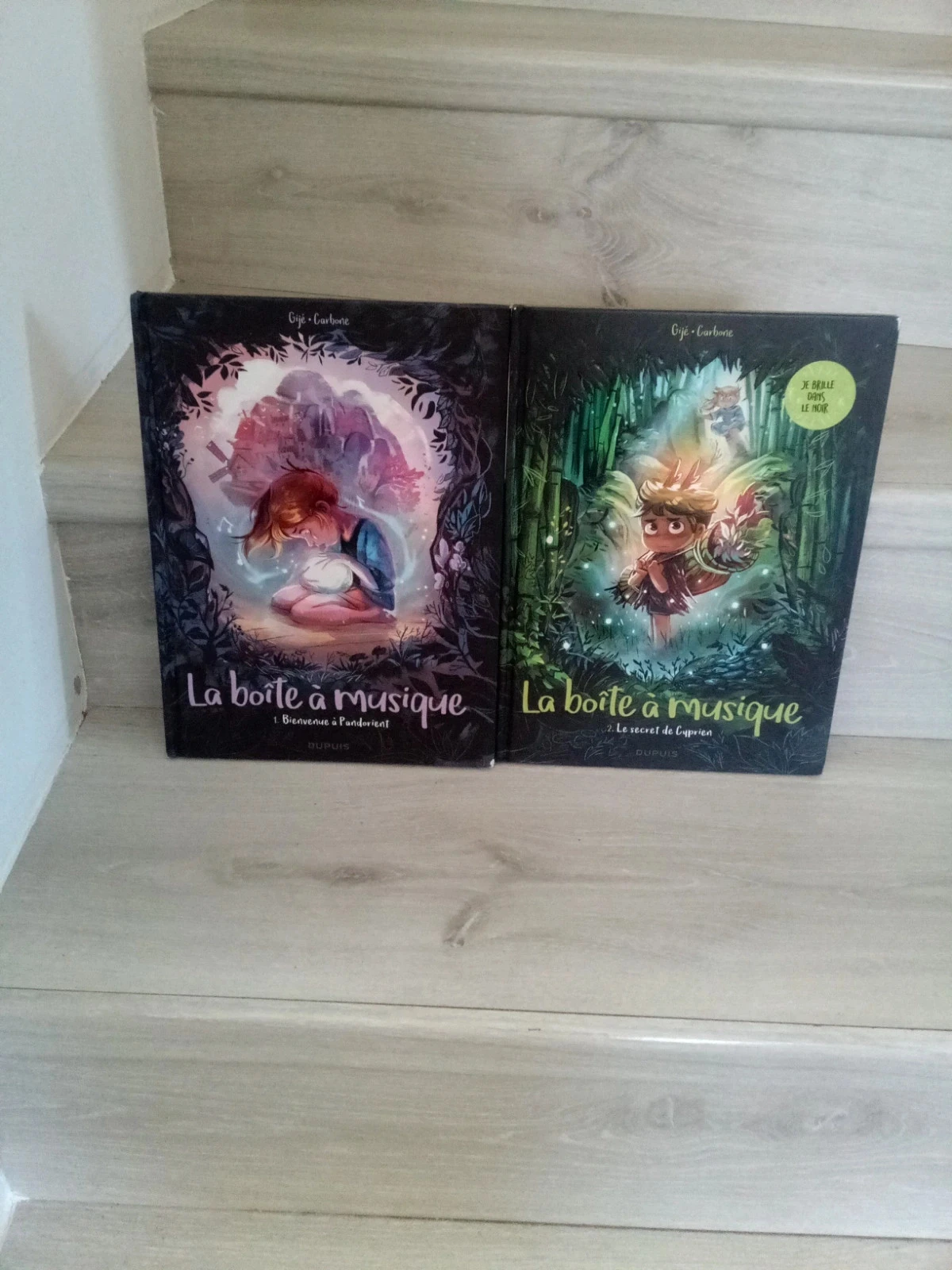 Lot de 2 bd la boîte à musique